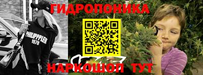 ALPHA PVP Камышлов