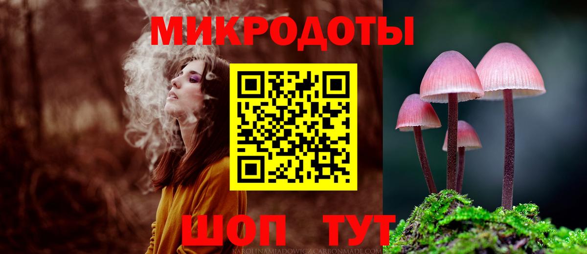Псилоцибиновые грибы Psilocybe  Вход с VPN  Кыштым 